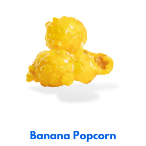 2 Gallon Popcorn Flavor - 1 Flavor - Image 45