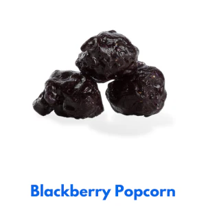 2 Gallon Popcorn Flavor - 3 Flavors - Image 46
